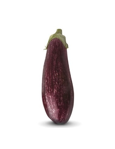 Graine d'aubergine Carmela F1 (hybride) (1.000 graine)