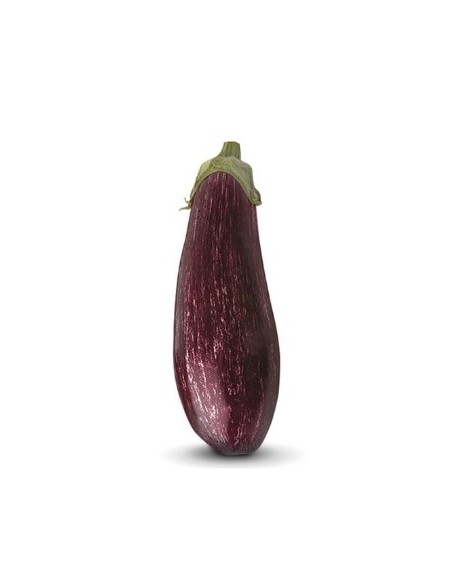 Graine d'aubergine Carmela F1 (hybride) (1.000 graine)