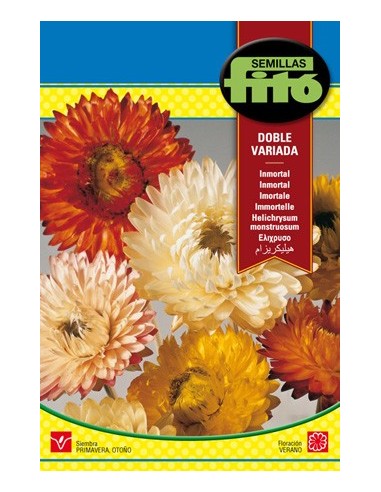 Semilla de flor de papel