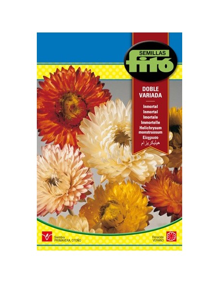 Semilla de flor de papel