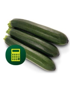 Semilla Calabacín Brillante F1 (híbrida) (1.000 semillas)