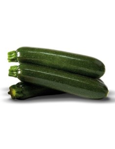 Semilla Calabacín Raffaello F1 (híbrida) (1.000 semillas)
