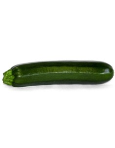Semilla Calabacín Salzillo F1 (híbrida) (1.000 semillas)