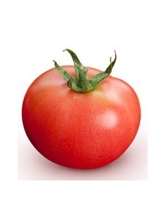 Semente de tomate Suca F1 (híbrida) (1.000 semente)