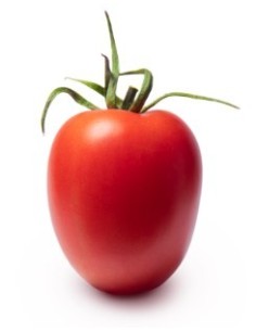 Semente de tomate MaGneto F1 (híbrida) (1.000 semente)