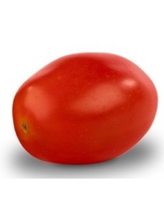 Semente de tomate Mulan F1 (híbrida) (1.000 semente)