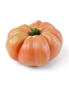 Graine tomate Rosamei F1 (hybride) (1.000 graine)