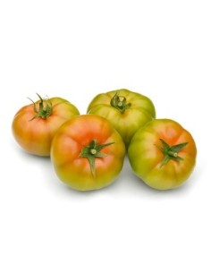 Semente de tomate Runner F1 (híbrida) (1.000 semente)