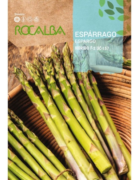 Semilla espárrago F-2 UC-157 (híbrida) (blanco y verde)