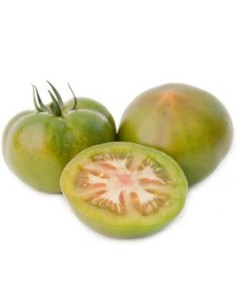 Semente de tomate Egara F1 (híbrida) (1.000 semente)