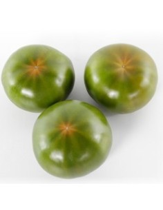 Llavor tomàquet Carbonero F1 (híbrida) (1.000 llavors)