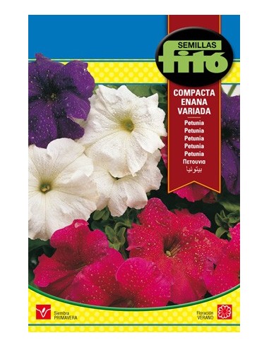 Semilla petunia