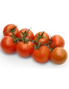 Semente de tomate Bigram F1 (híbrida) (1.000 semente)