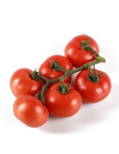 Semilla tomate Molier F1 (híbrida) (1.000 semillas)
