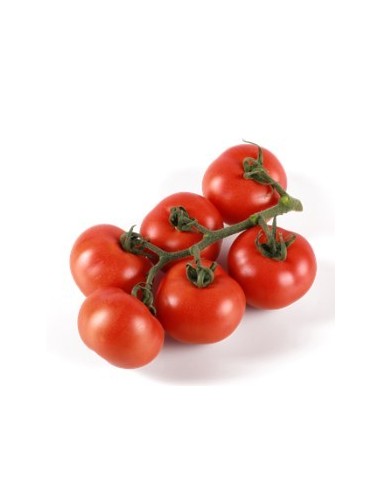 Semente de tomate Molier F1 (híbrida) (1.000 semente)
