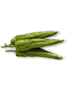 Semilla pimiento Aran F1 (híbrida) (1.000 semillas)