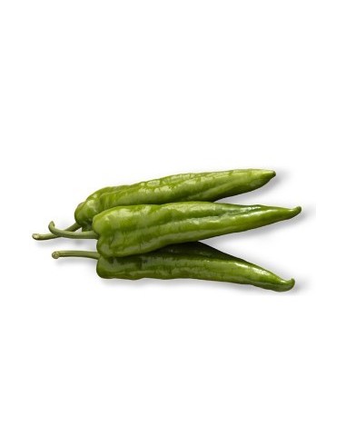 Semilla pimiento Aran F1 (híbrida) (1.000 semillas)