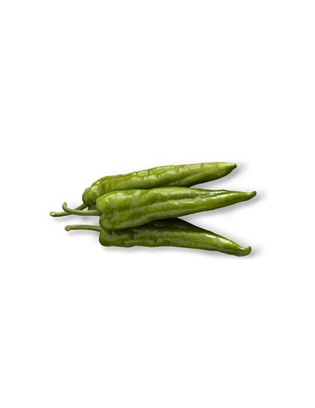 Semilla pimiento Aran F1 (híbrida) (1.000 semillas)