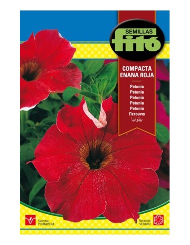 Semilla petunia roja