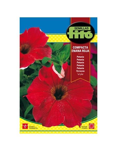 Semilla petunia roja