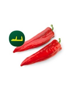 Semilla pimiento Perotti F1 (híbrida) (1.000 semillas)