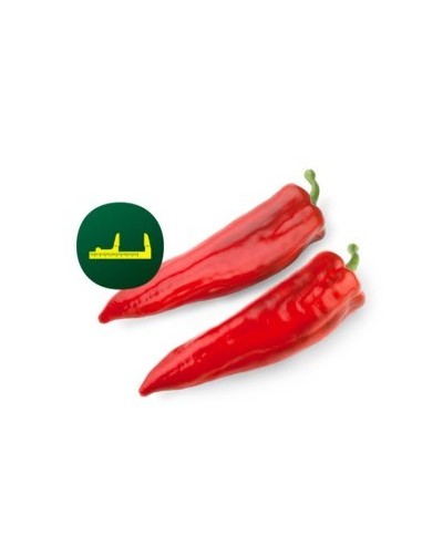 Semilla pimiento Perotti F1 (híbrida) (1.000 semillas)