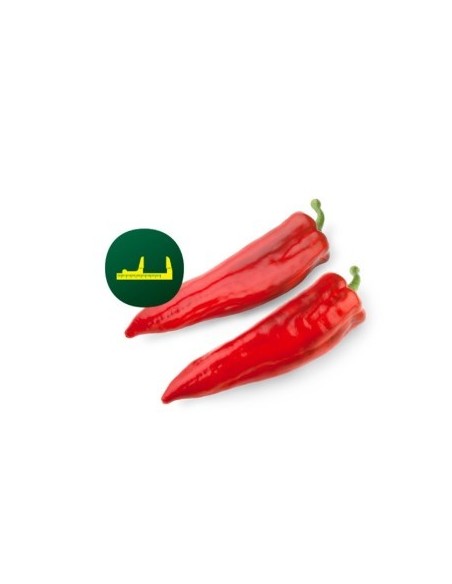 Semilla pimiento Perotti F1 (híbrida) (1.000 semillas)