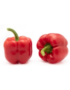 Semente de pimenta Voltio F1 (híbrida) (1.000 sementes)