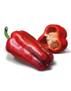 Semente de pimenta Rio Cuatro F1 (híbrida) (1.000 sementes)