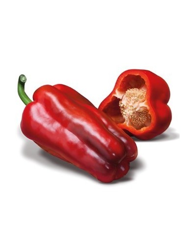 Semente de pimenta Rio Cuatro F1 (híbrida) (1.000 sementes)