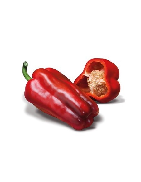 Semente de pimenta Rio Cuatro F1 (híbrida) (1.000 sementes)