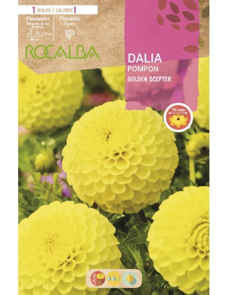 Lâmpada de dália pompons vermelhos