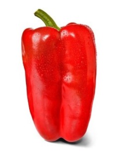 Semilla pimiento Lobon F1 (híbrida) (1.000 semillas)