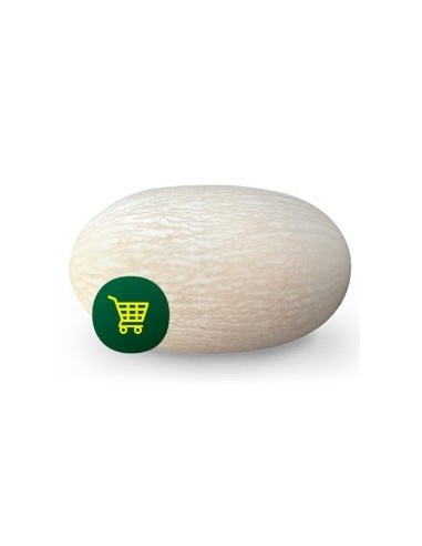 Semilla melón Ferreira F1 (híbrida) (1.000 semillas)