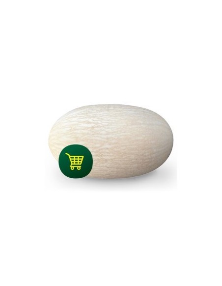 Semilla melón Ferreira F1 (híbrida) (1.000 semillas)