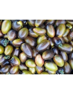 Semente de tomate cherry uva atómica (orgânico)