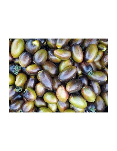 Semente de tomate cherry uva atómica (orgânico)