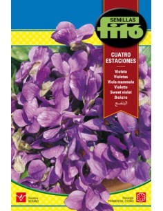 Graine de Violette Quatre Saisons.