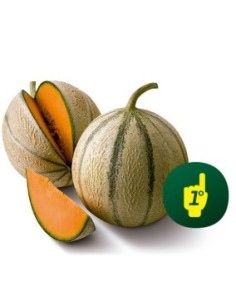 Semilla melón Solmarín F1 (híbrida) (1.000 semillas)