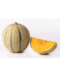 Semilla melón Claudio F1 (híbrida) (1.000 semillas)