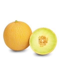 Semilla melón Mojacar F1 (híbrida) (1.000 semillas)