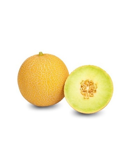 Graine Melon Mojacar F1 (hybride) (1 000 graines)