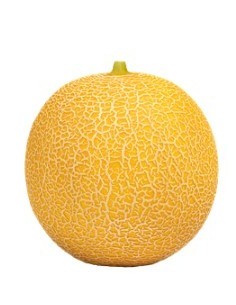 Semilla melón Bristol F1 (híbrida) (1.000 semillas)