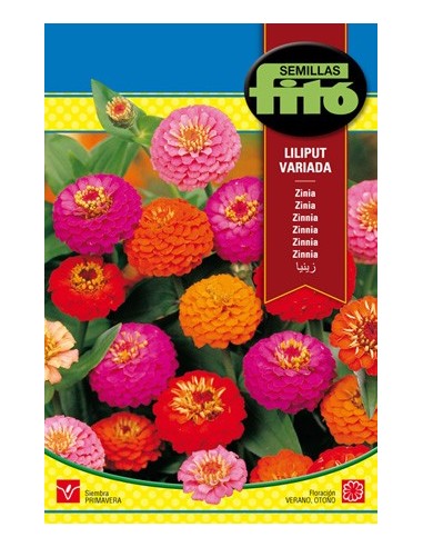 Semilla Zinia Liliput variada