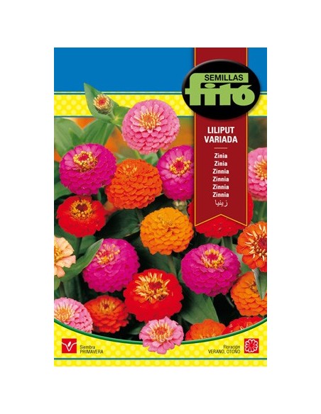 Semilla Zinia Liliput variada