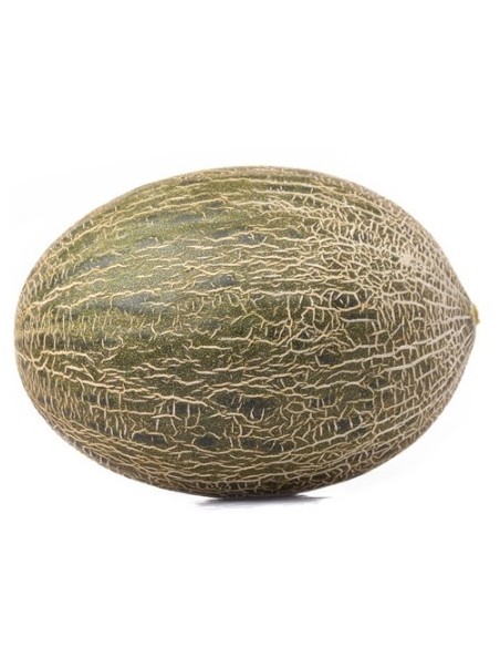 Semilla melón Montiel F1 (híbrida) (1.000 semillas)