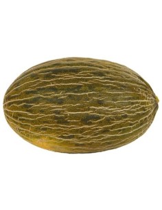 Semilla melón Callejon F1 (híbrida) (1.000 semillas)