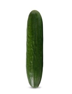 Semente de pepino Criville F1 (híbrida) (1.000 sementes)