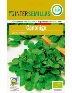 Semente de cânones (orgânico)