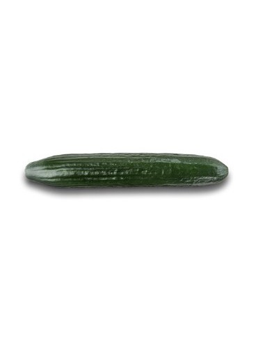 Graine Concombre Bambú F1 (hybride) (1 000 graines)
